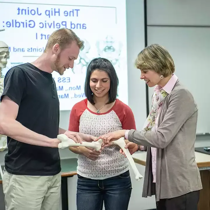 Professor with students inspecting human skeleton.